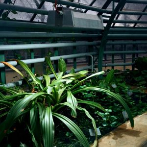 Advanced Plant Monitoring & Diagnostics Program