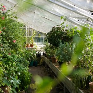 Home Greenhouse Seasonal Transition Course