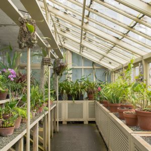 Home Greenhouse Foundations: Plant Care Systems